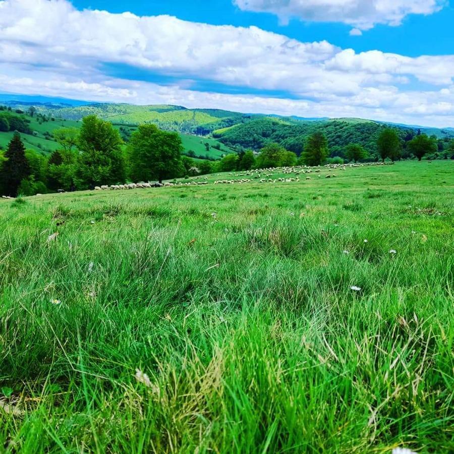 Отель Langa Stana Куртя-де-Арджеш Экстерьер фото