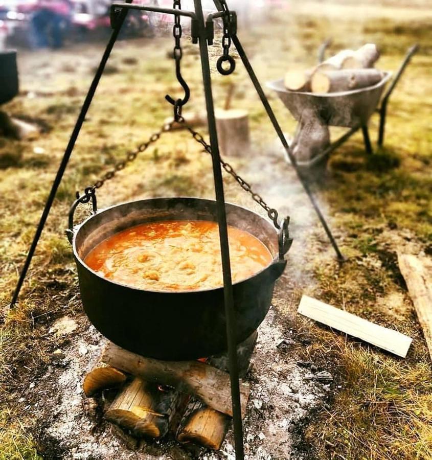 Отель Langa Stana Куртя-де-Арджеш Экстерьер фото