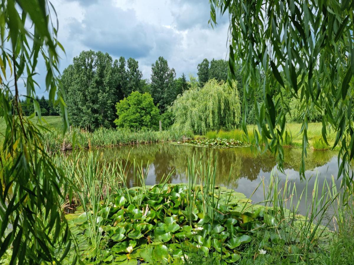 Отель Langa Stana Куртя-де-Арджеш Экстерьер фото