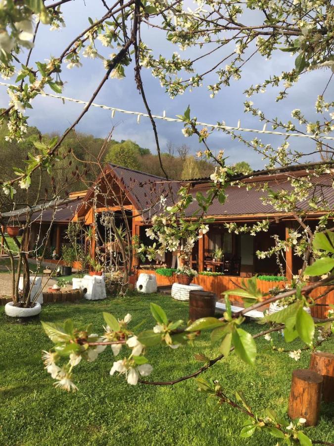 Отель Langa Stana Куртя-де-Арджеш Экстерьер фото