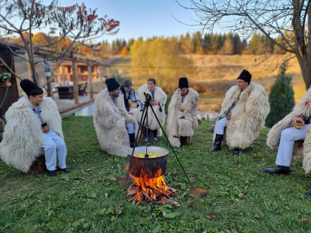 Отель Langa Stana Куртя-де-Арджеш Экстерьер фото